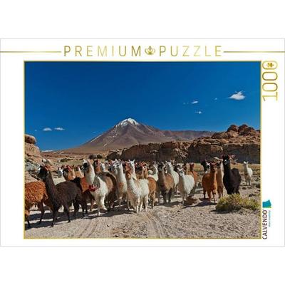 CALVENDO Puzzle Lamas in den Anden | 1000 Teile Lege-Größe 64x48cm Foto-Puzzle für glückliche Stunden, Sonstige von , Calvendo Puzzle