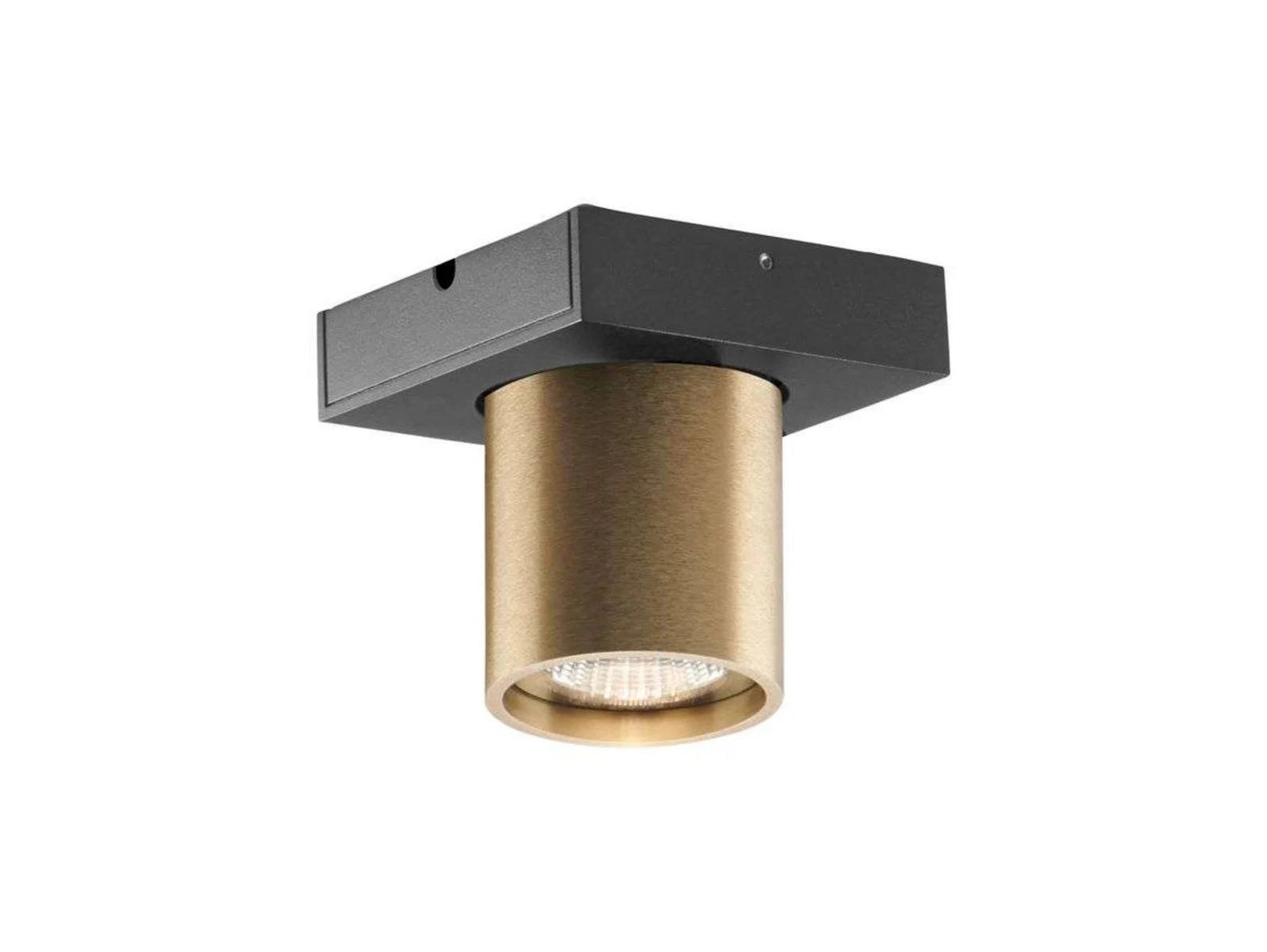 LIGHT-POINT Focus 1 LED Plafondlamp 3000K Messing Aluminium