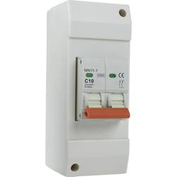 AS Schwabe 61564 Leitungsschutzschalter 10 A 230 V