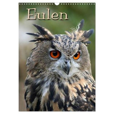 Eulen (Wandkalender 2026 DIN A3 hoch), CALVENDO Monatskalender