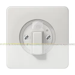 Jung Abdeckung CD 1541 LG