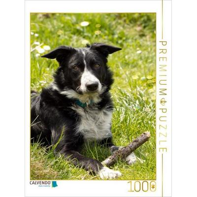 CALVENDO Puzzle Mein Stöckchen | 1000 Teile Lege-Größe 64x48cm Foto-Puzzle für glückliche Stunden, Sonstige von , Calvendo Puzzle