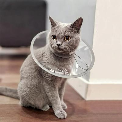 Uplift Essentials Ultra Lightweight Comfort Recovery Cone Collar m