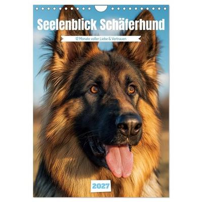 Seelenblick Schäferhund (Wandkalender 2027 DIN A4 hoch), CALVENDO Monatskalender