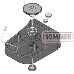 8 Sommer Zahnrad twist AM