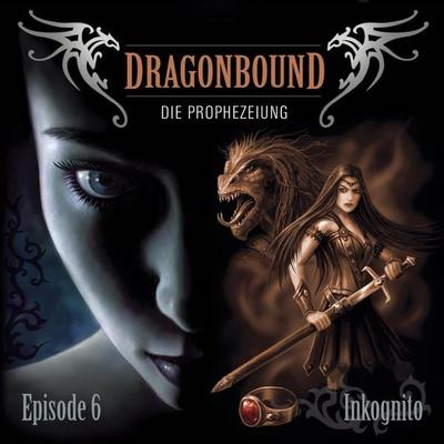 Folge 06: Inkognito - Peter Lerf, Audio, 4064066617363