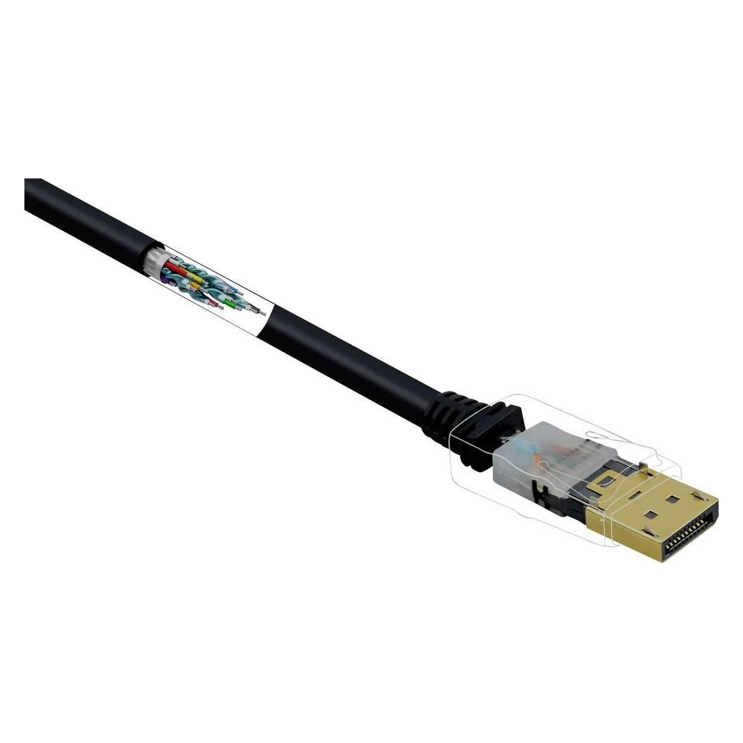 Renkforce DisplayPort-Kabel (3 m) (1404068)