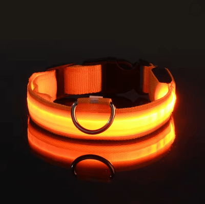 Inspire Essentials GlowGuard LED Dog Leash And Collar Set m orange