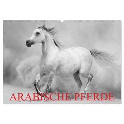 Arabische Pferde (Wandkalender 2027 DIN A2 quer), CALVENDO Monatskalender