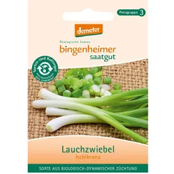 Lauchzwiebel - Ischikrona