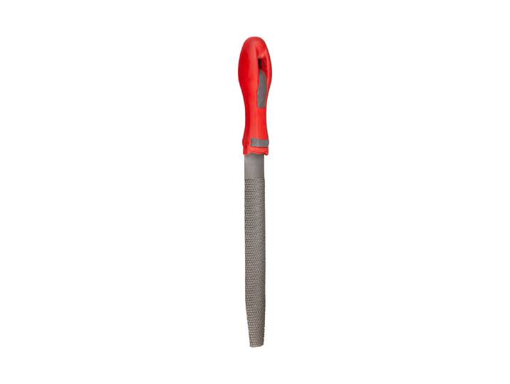 Ayce Kabinett-Raspel mit 2K-Griff 35 cm