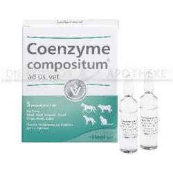 COENZYME COMPOSITUM ad us.vet.Ampullen 25 ml