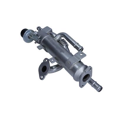 MAXGEAR AGR-Modul 274044 für Audi