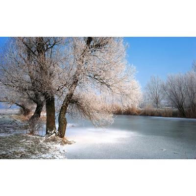 Fototapete PAPERMOON "Winter Fluss", bunt, B:4,5m L:2,8m, Vlies, Tapeten