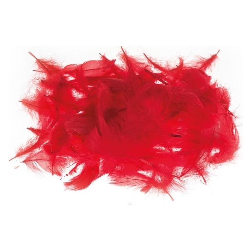 Brewis Dekorative rote Federn 7g (47591045)