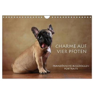 Charme auf vier Pfoten - Französische Bulldoggen Portraits (Wandkalender 2027 DIN A4 quer), CALVENDO Monatskalender