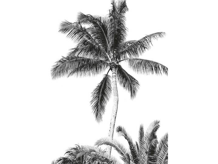 FOTOTAPETE RETRO PALM