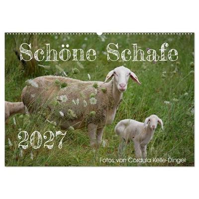 Schöne Schafe (Wandkalender 2027 DIN A2 quer), CALVENDO Monatskalender