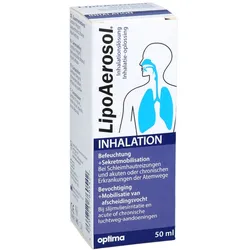 Lipoaerosol Inhalation Inhalationslösung 50 ml
