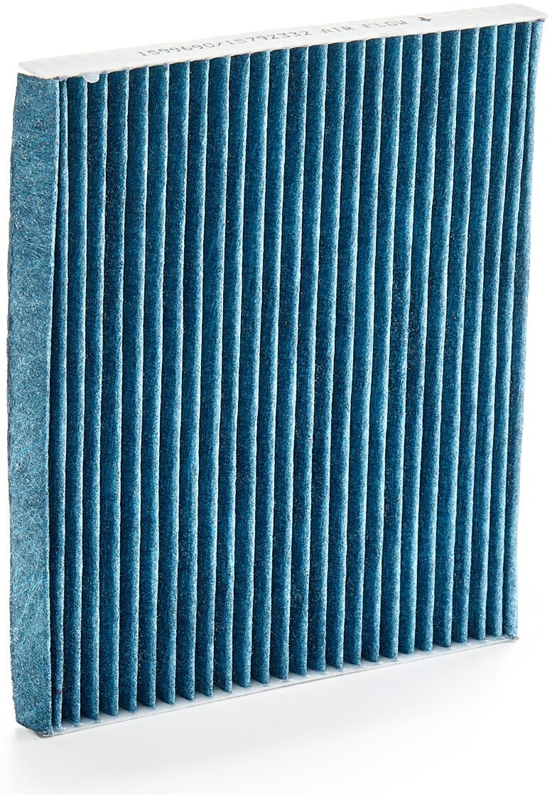 RIDEX 424I0618 Pollen filter