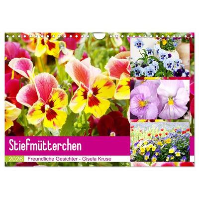 Stiefmütterchen Freundliche Gesichter (Wandkalender 2026 DIN A4 quer), CALVENDO Monatskalender