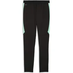 Puma, Herren, Sporthose, SFV Training Pants w/ pockets (S), Schwarz, Grün