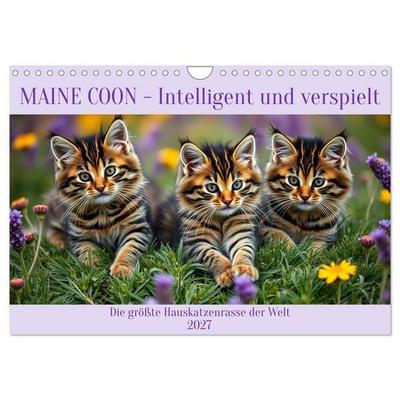 Maine Coon - Intelligent und verspielt (Wandkalender 2027 DIN A4 quer), CALVENDO Monatskalender