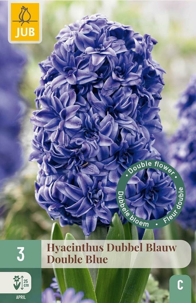 Jub Hyacint dubbel blauw 3 bollen