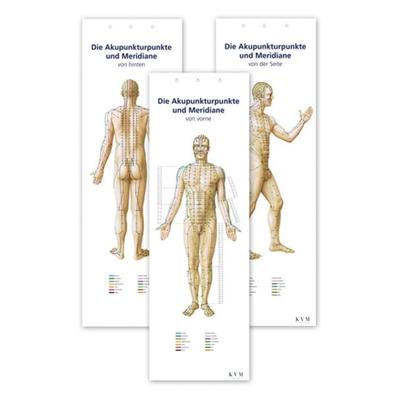 Lernposter: Akupunkturpunkte und Meridiane, Set von Bernard C. Kolster, KVM - Der Medizinverlag, 978-3-932119-61-3