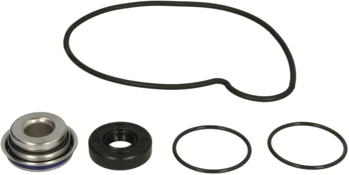 Pompe à eau WINDEROSA W821969