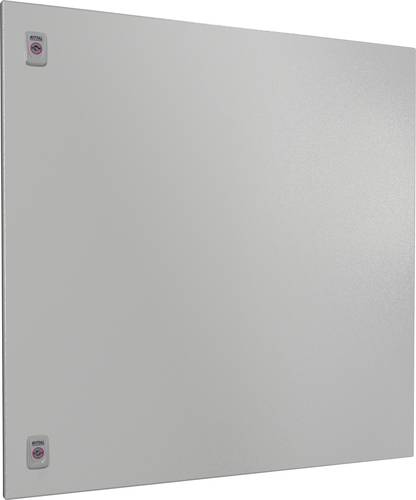 Rittal SV 9682.188 Teiltür Stahl Grau (B x H) 800mm x 800mm 1St.
