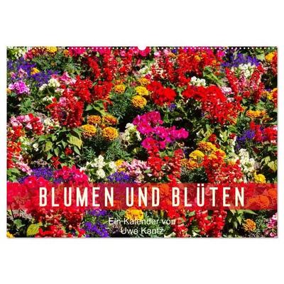 Blumen und Blüten (Wandkalender 2026 DIN A2 quer), CALVENDO Monatskalender