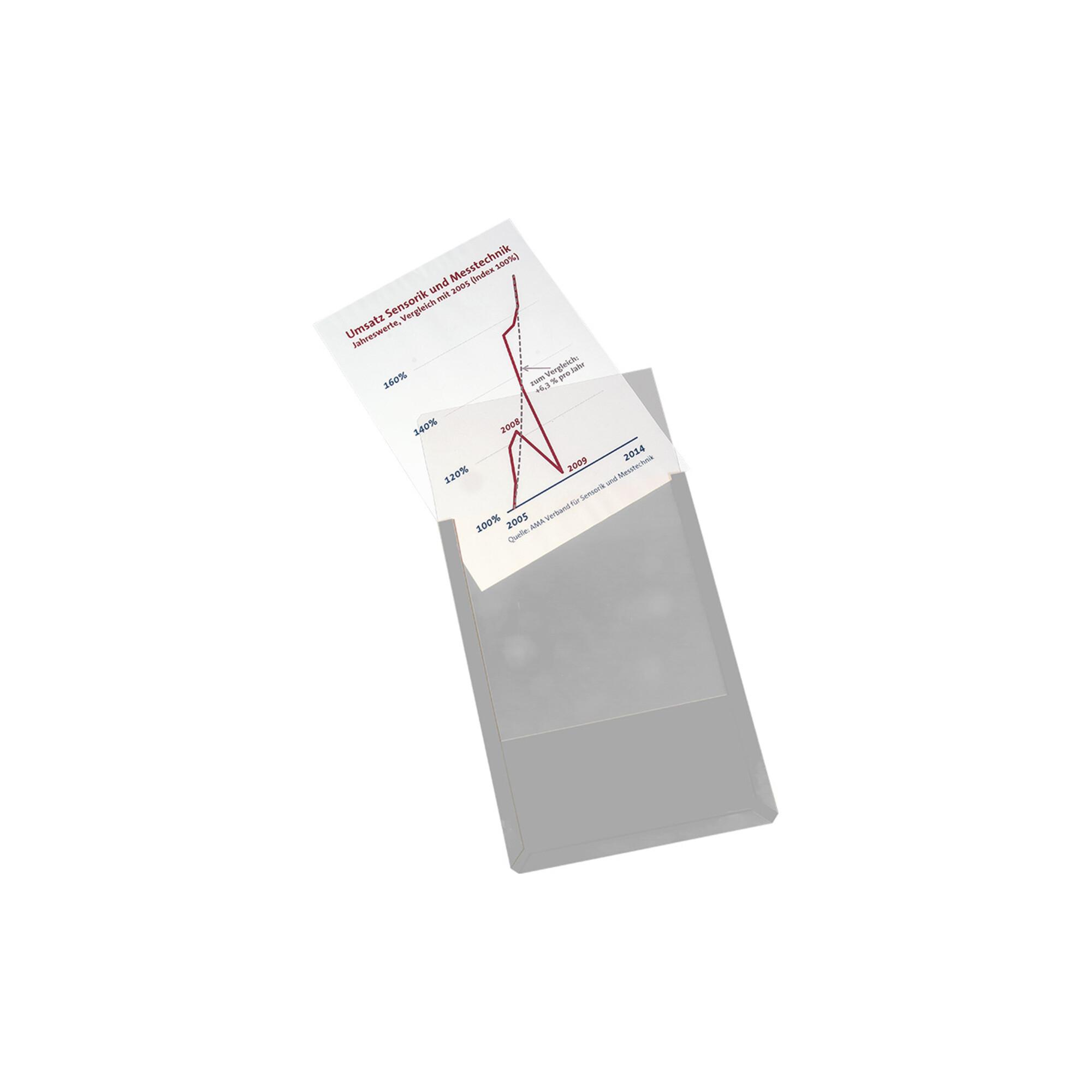 Eichner Magnet-Sichttasche aus Hart-PVC DIN A4 hoch, transparent (9218-01819-00)