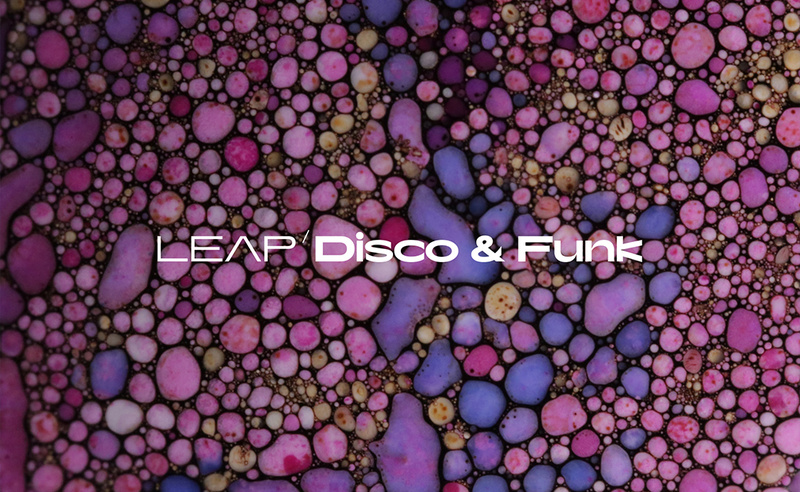 Native Instruments Leap Expansion Disco and Funk