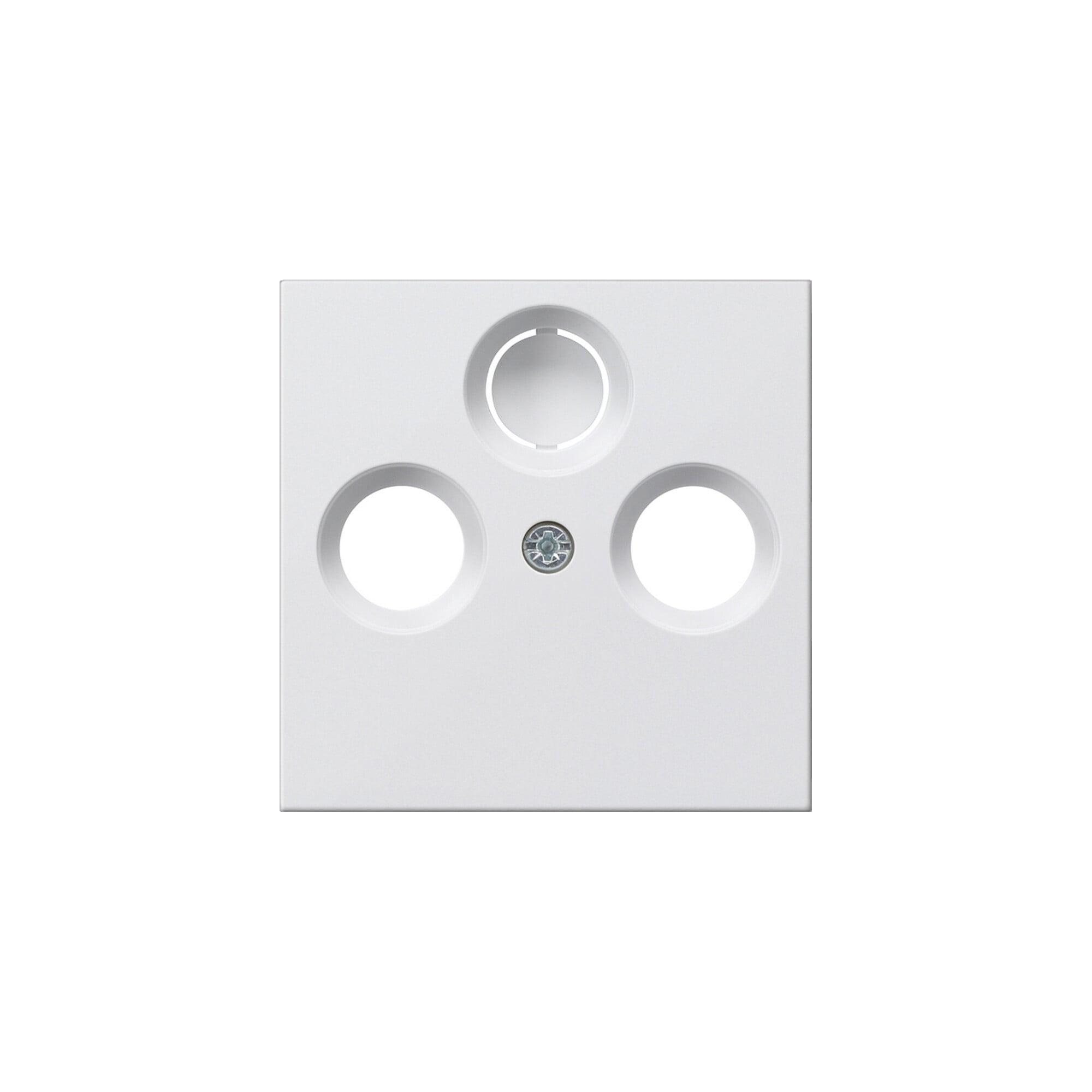Gira Zentralplatte Antenne rws System55 086927)