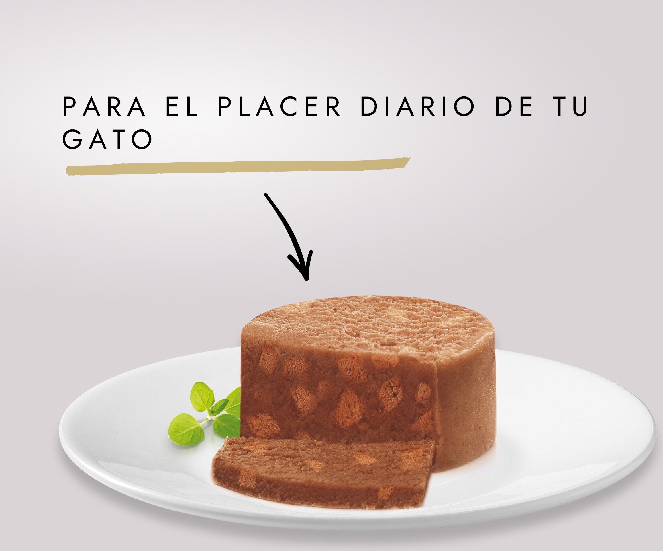 Purina Gourmet Gold Terrine Pollo Gato Latas 85 gr