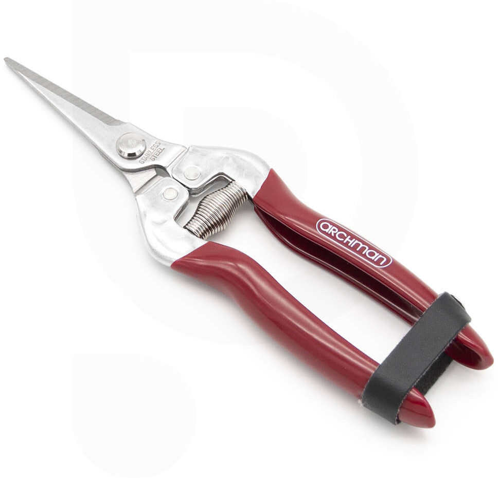 Archman Forbice  con lama dritta inox per vendemmia e giardin