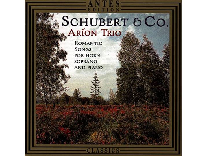 Schubert & Co: Romantic Songs