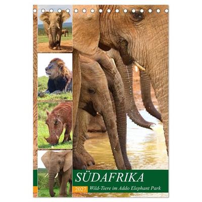SÜDAFRIKA Wild-Tiere im Addo Elephant Park (Tischkalender 2027 DIN A5 hoch), CALVENDO Monatskalender