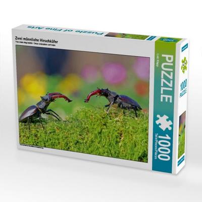 CALVENDO Puzzle Zwei männliche Hirschkäfer | 1000 Teile Lege-Größe 64 × 48 cm Foto-Puzzle für glückliche Stunden