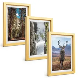 BILDER SET 3er Set - 20x30 cm Goldrahmen - Straße Wald Berge Hirsch Natur
