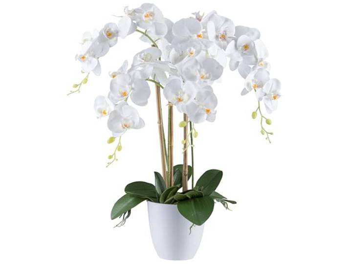 Gasper künstliche Orchidee REAL Touch H. 62cm weiß in weißem Melamintopf