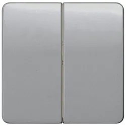 Siemens 5TG7925 DELTA profil Wippe 2-fach neutral für Serienschalter, silber