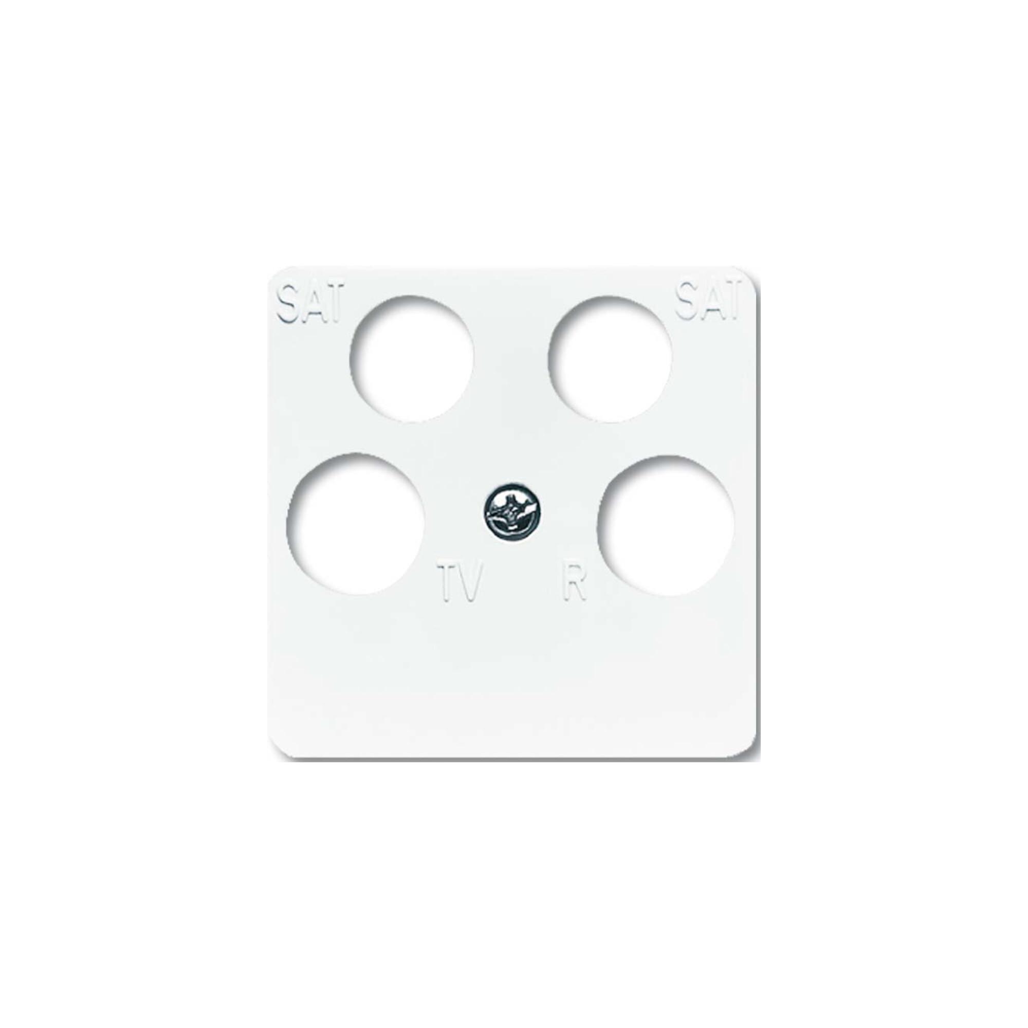 Busch-Jaeger Zentralscheibe aws Antenne, 4-fach 1743/10-04-214 (2CKA001753A8659)