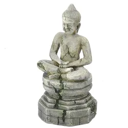 Buddha 1 Aquariendeko