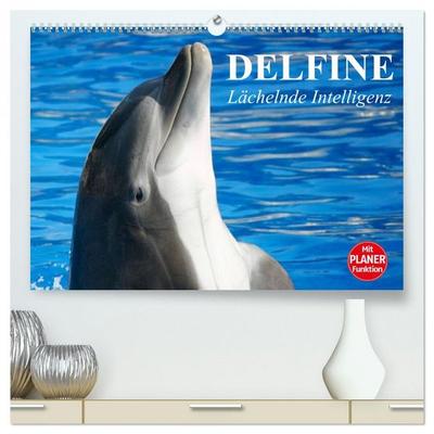 Delfine - Lächelnde Intelligenz (hochwertiger Premium Wandkalender 2026 DIN A2 quer), Kunstdruck in Hochglanz
