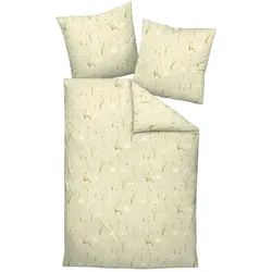 Janine, Bettwäsche, 55135-06 (Bettwäsche Set, 135x200 cm + 80x80 cm)
