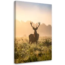 LEINWANDBILD Landschaft Hirsch auf der Brunft am Morgen 80x120cm
