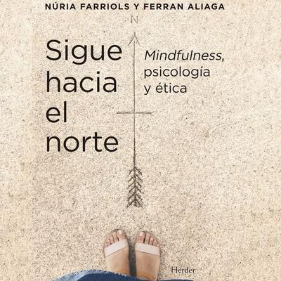 Sigue hacia el norte - Núria Farriols,Ferran Aliaga, Audio, 9788425449581
