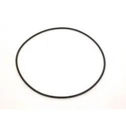 Bosch O-Ring 8718583004 253,37 x 5,33 everp